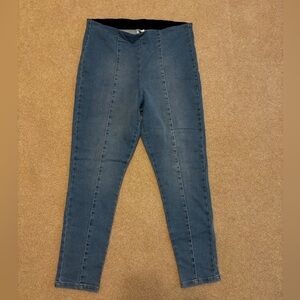 Time and Tru Women's Blue Jeggings